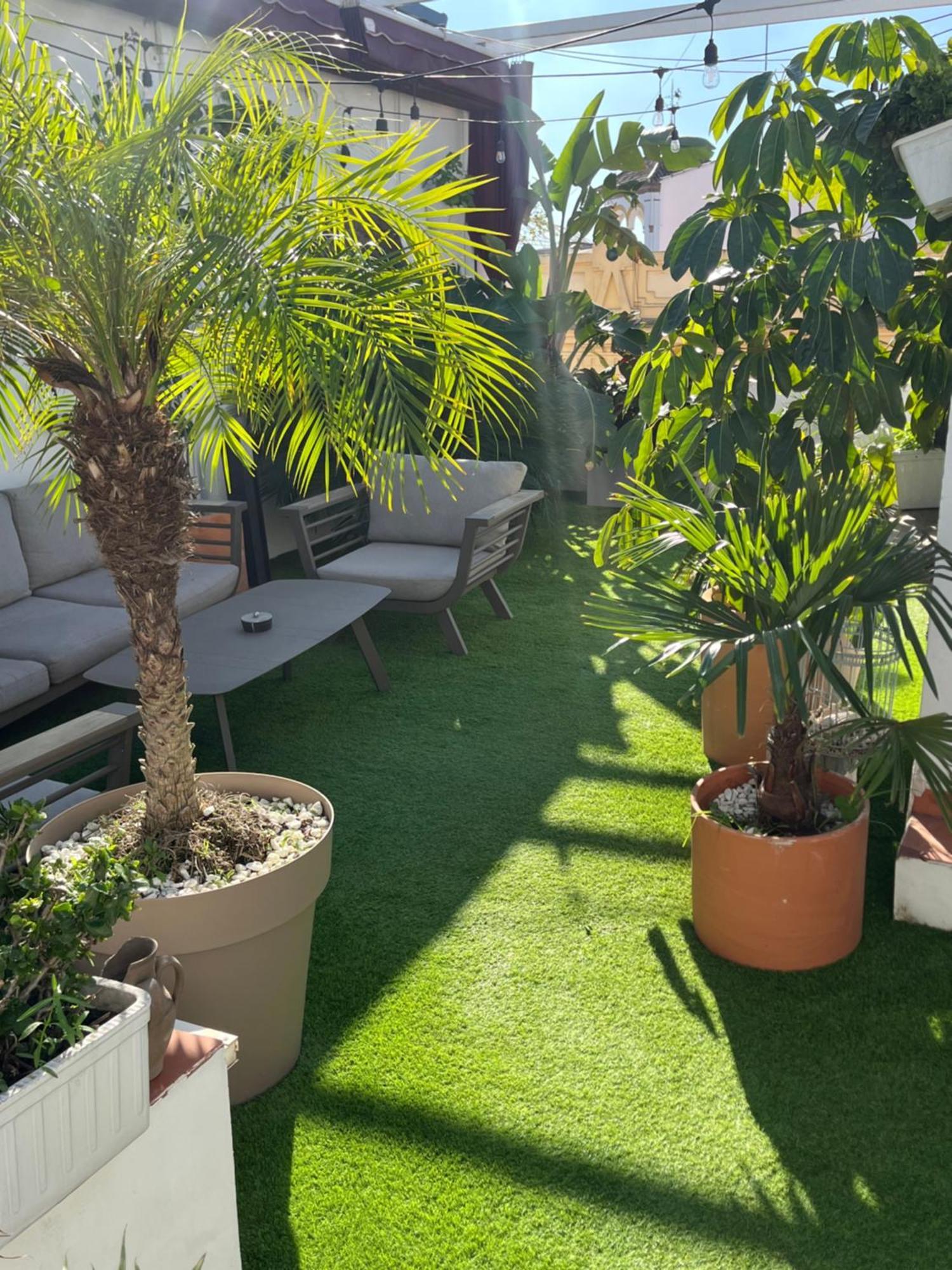 Atico Suite Con Terraza Totalmente Privada En Pleno Centro Historico De Sevilla Zewnętrze zdjęcie
